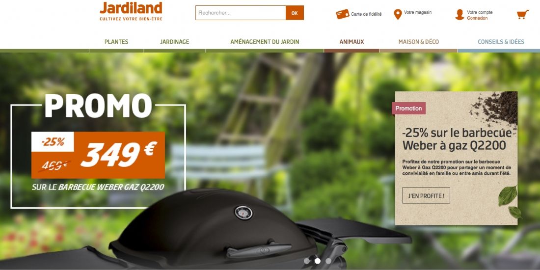 Jardiland Cultive Sa Strategie De Vente En Ligne