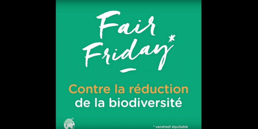 Quelles sont les stratégies des marques anti-Black Friday?