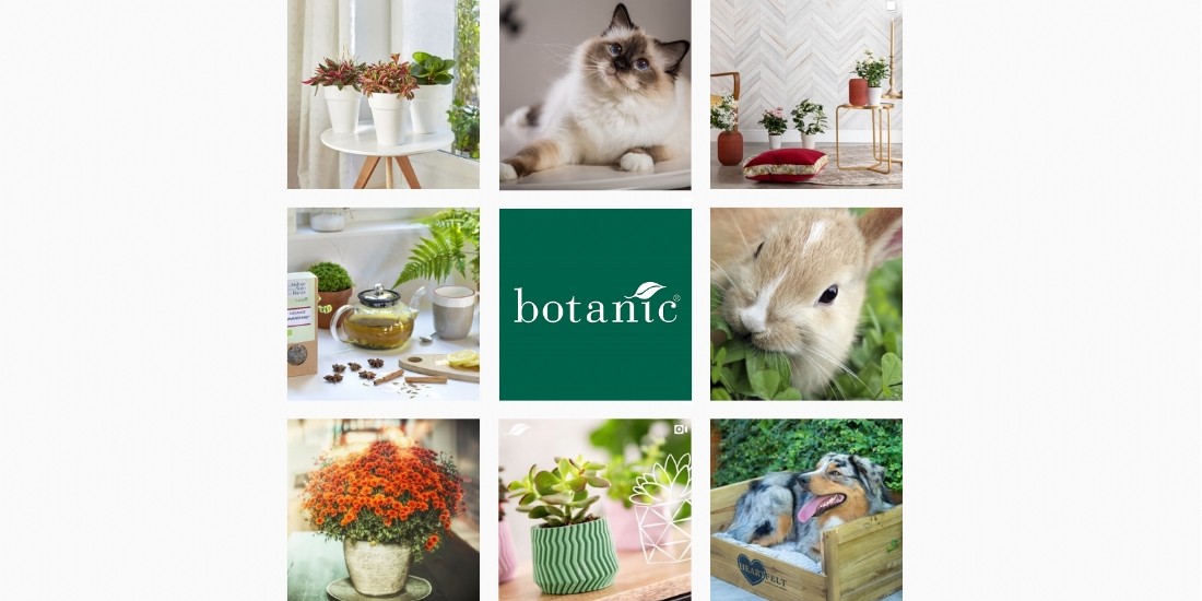 Botanic : un ROI de 3 à 5 en social commerce