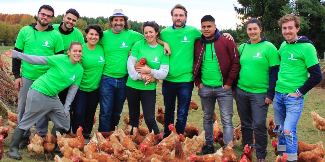 Poulehouse lève 3,5 millions d'euros pour une production d'oeufs responsable