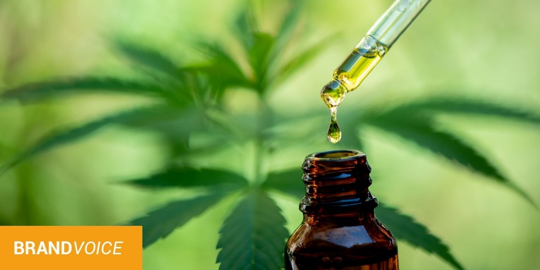 Le boom du marché du CBD en ligne