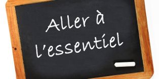 l'executive summary donne les principales informations sur le projet.