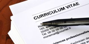 Les CV et motivations du chef d'entreprise et de son équipe donnent du relief au business plan.