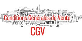 Les conditions générales de ventes permettent au professionnel de définir les règles qui régissent la vente.